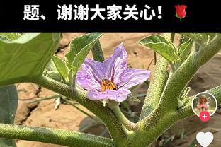 「菜鸟」切特自抛自扣技惊全场&11中9砍23+6+7 文班7+5+5+2断3帽